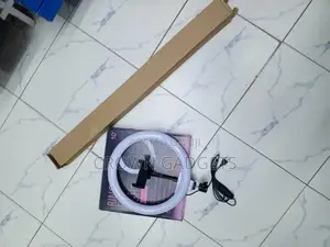 10" LED Ring Light With Stand, Phone Holder USB Control