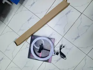 10" LED Ring Light With Stand, Phone Holder USB Control