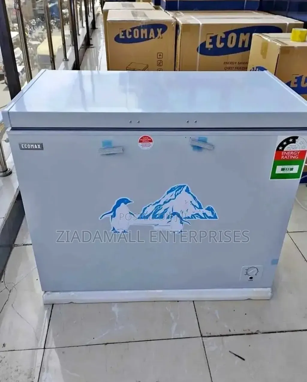 Ecomax 219L Chest Freezer – Big Storage for Home Business