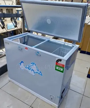 Ecomax 219L Freezer Kenya – Large Capacity Storage Solution