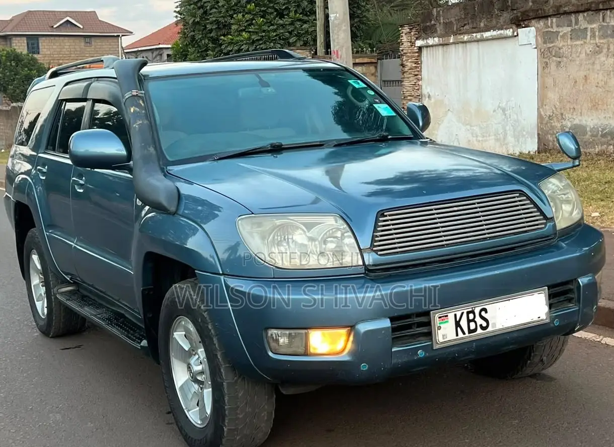 Toyota Hilux Surf 2005 Blue