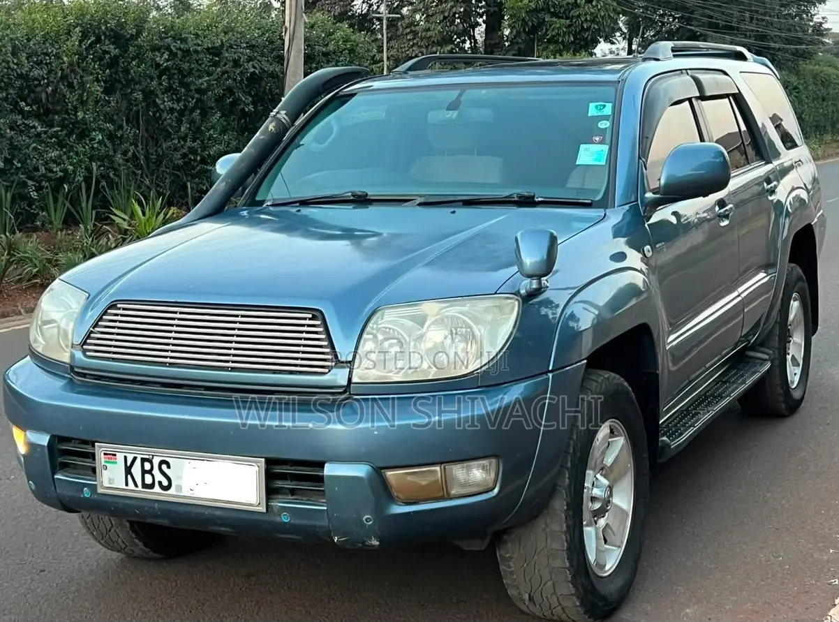 Toyota Hilux Surf 2005 Blue