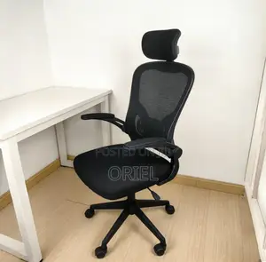 Office Chair : Ergonomic Mesh Chair With Foldable Armrests