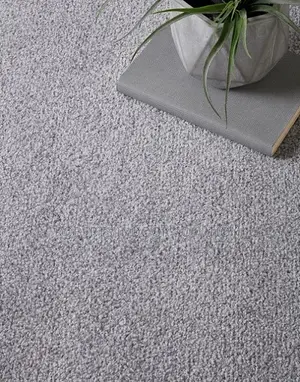 Affordable Comfort for Homes Offices Delta Carpet