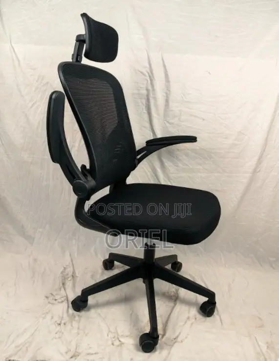 Office Chair : Ergonomic Mesh Chair With Foldable Armrests