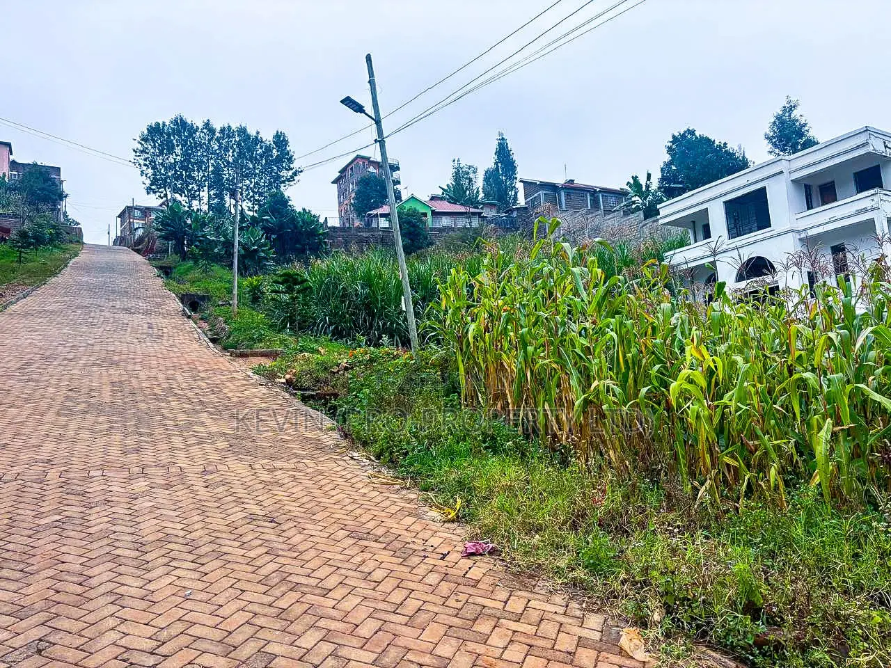 Prime Plot for Sale in Kinoo, Muthiga