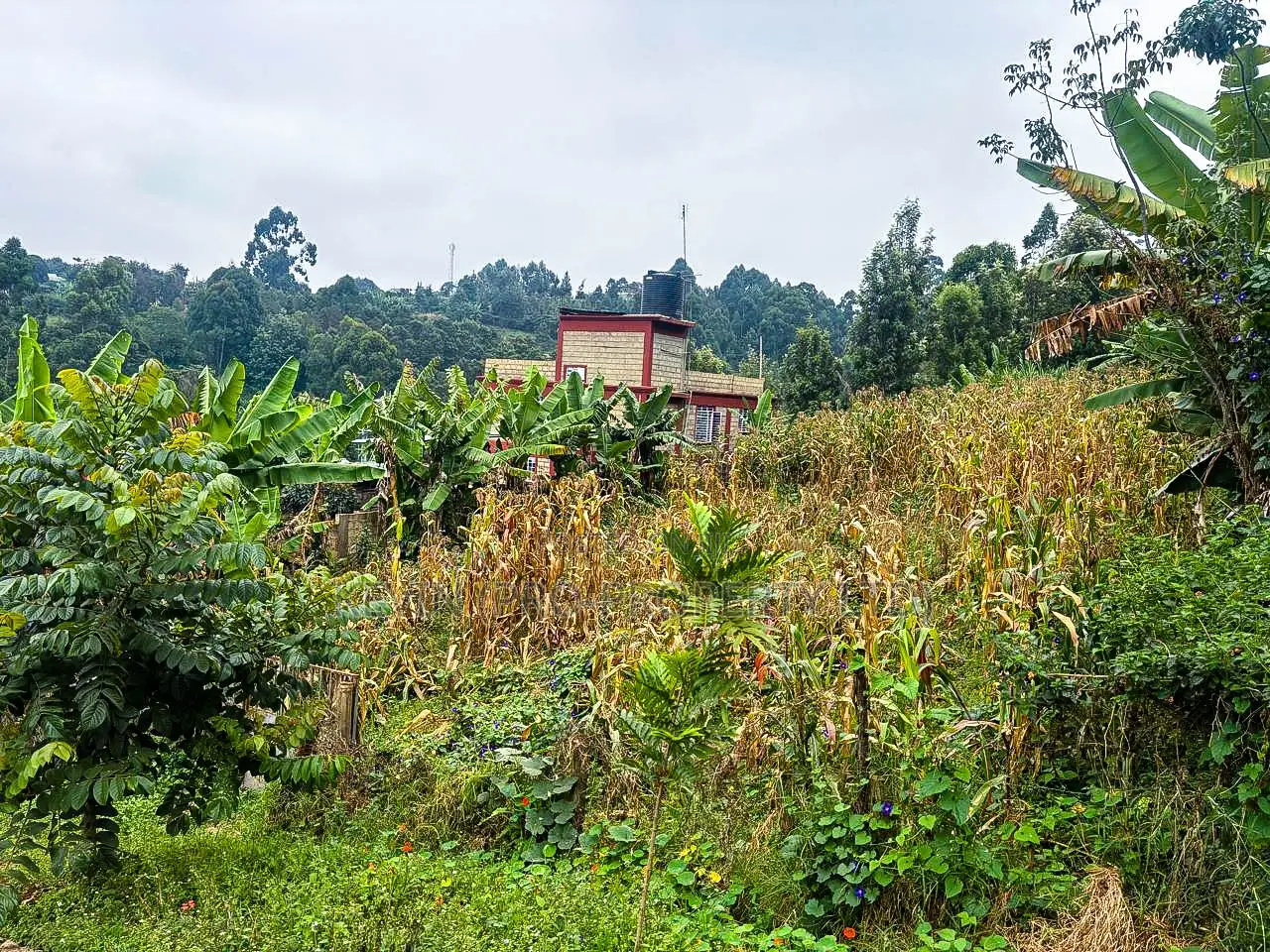 Prime Plot for Sale in Kinoo, Muthiga