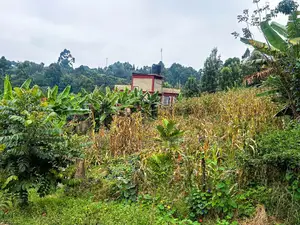Prime Plot for Sale in Kinoo, Muthiga
