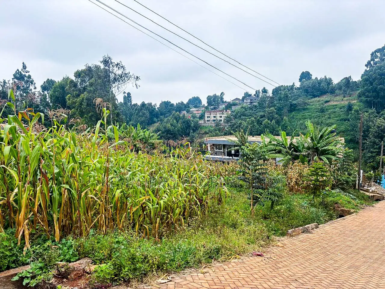 Prime Plot for Sale in Kinoo, Muthiga