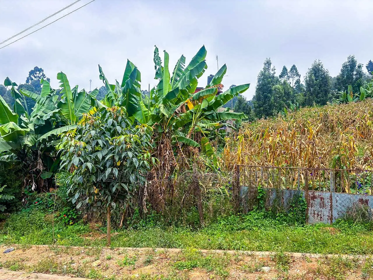 Prime Plot for Sale in Kinoo, Muthiga