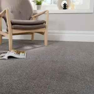 Budget-Friendly Delta Wall-to-Wall Carpets - Various Colors Available