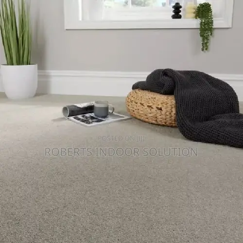 Budget-Friendly Delta Wall-to-Wall Carpets - Various Colors Available