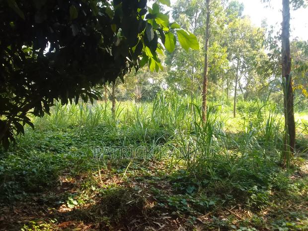 50*100 Plot Kiguaru Drive - thumbnail 2