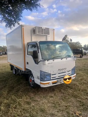 Isuzu ELF Truck on Sale