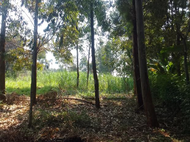 50*100 Plot Kiguaru Drive - thumbnail 3