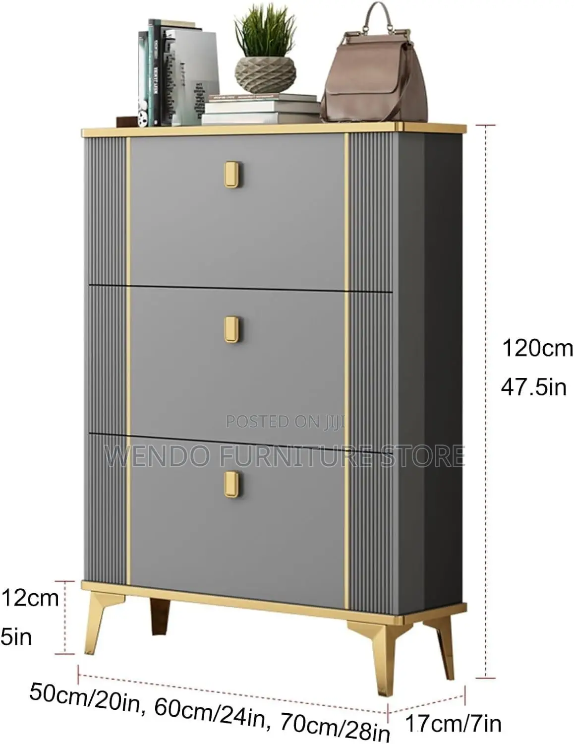 Modern Classic Shoe Storage Cabinet