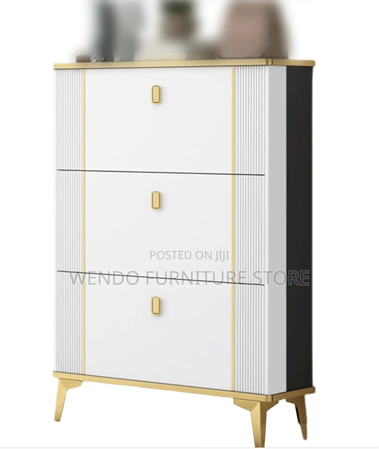 Modern Classic Shoe Storage Cabinet