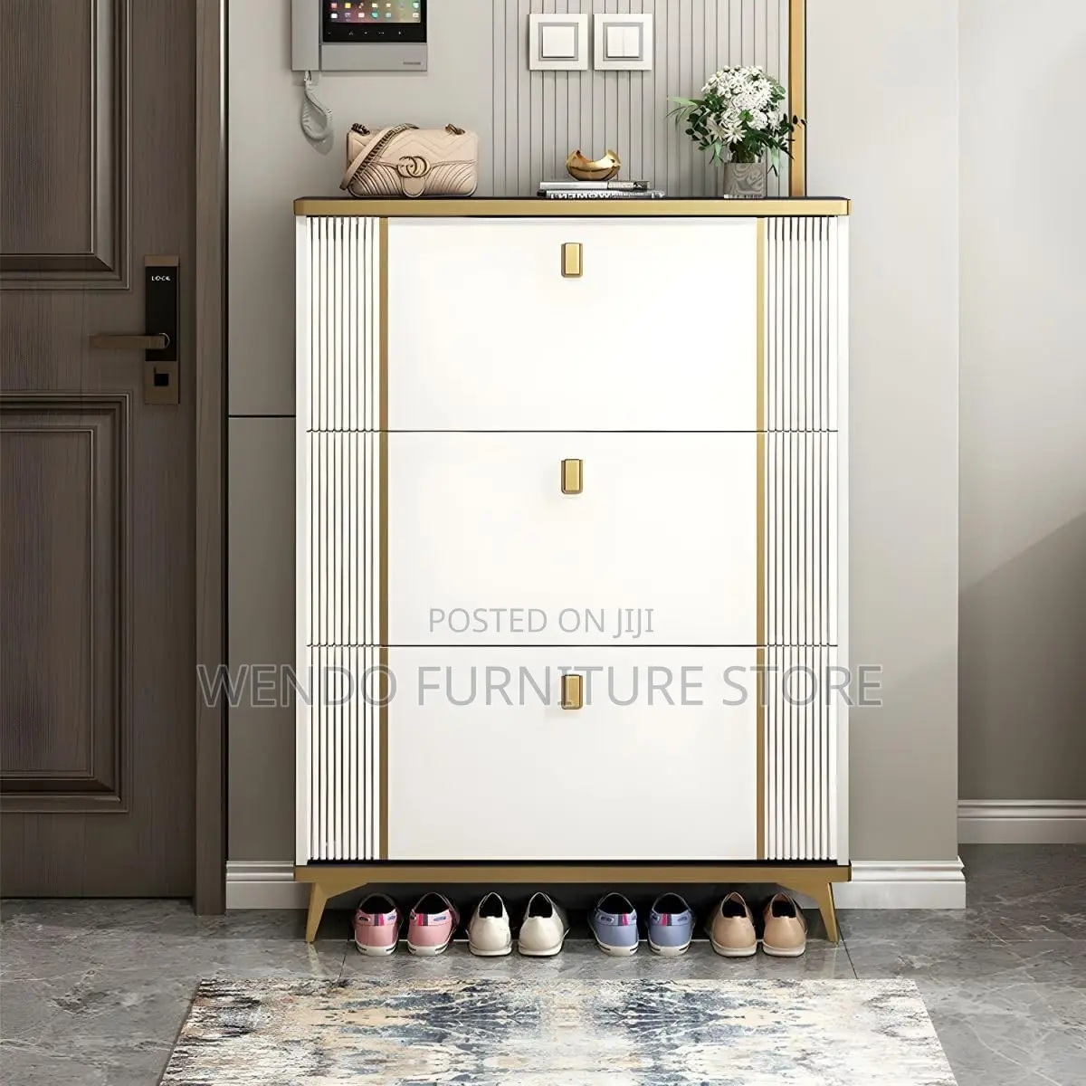 Modern Classic Shoe Storage Cabinet