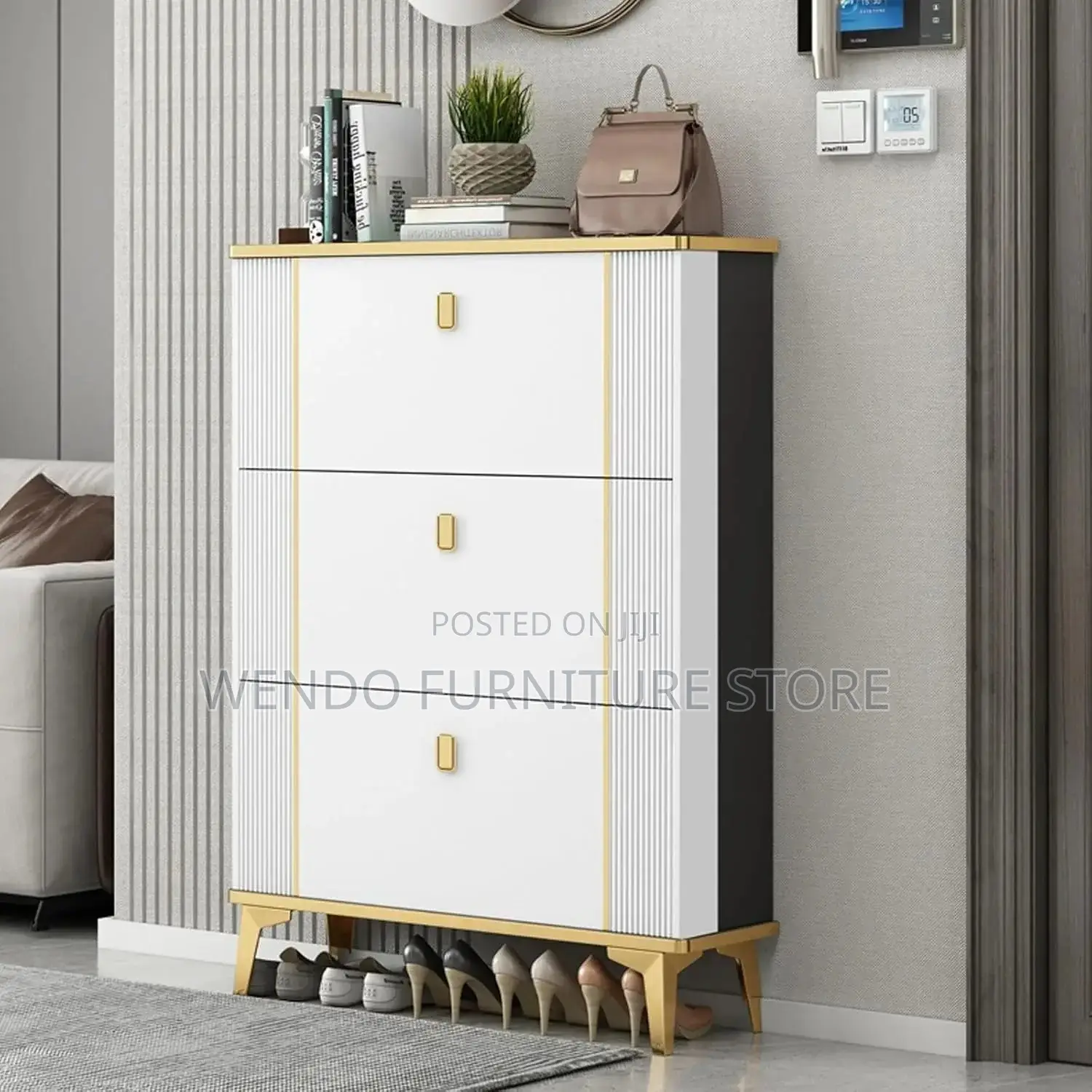 Modern Classic Shoe Storage Cabinet