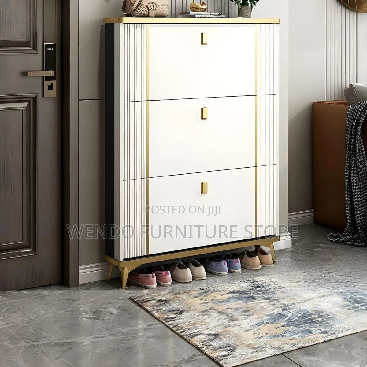 Modern Classic Shoe Storage Cabinet