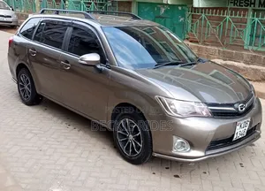 Toyota Corolla Fielder 2013 Gray