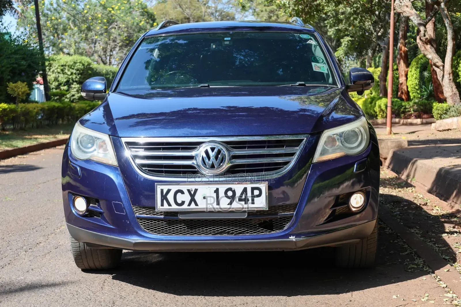 Volkswagen Tiguan 2010 Blue