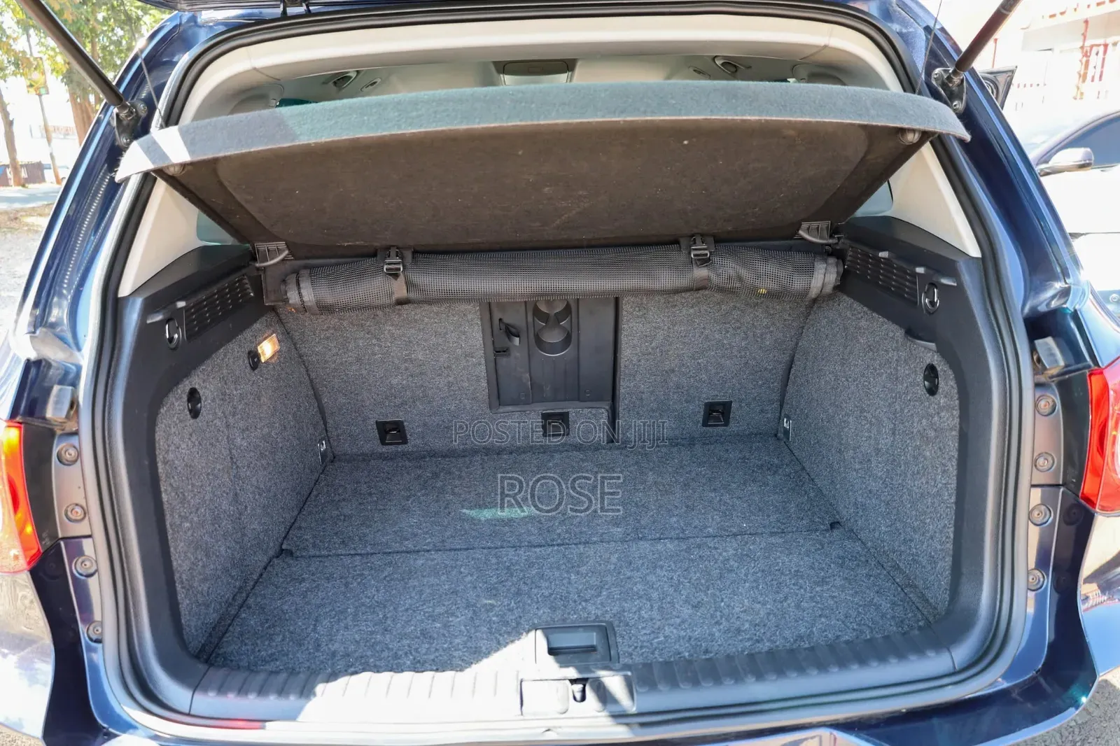 Volkswagen Tiguan 2010 Blue