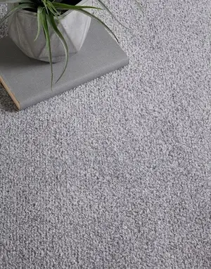 Superior Comfort: Shop Delta Wall-to-Wall Carpets