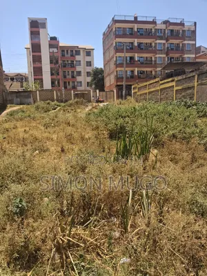 Kahawa Wendani Commercial 80x100 With 2road Fronting Opposite Barack