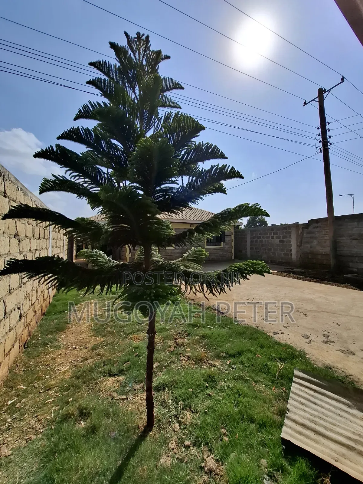 2bdrm Bungalow in Thogoto for rent