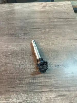 Ignition Coil OE 20117 | Genuine Quality | VAG | Kenya