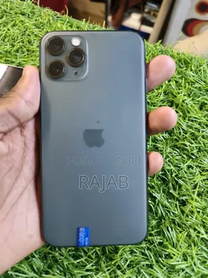 Apple iPhone 11 Pro Max 256 GB Gray