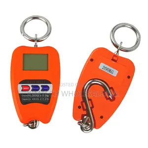 200 Kg Crane Scale