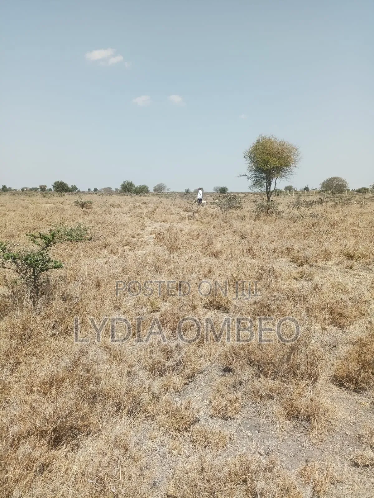 Land for Sale in Kitengela