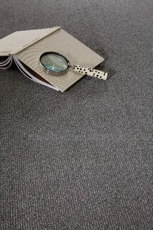 Transform Your Living Room and Office With Soft Touch Delta Carpets