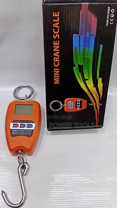 Professional Crane Weighing Scale/200kgs Crane Weighing Scale