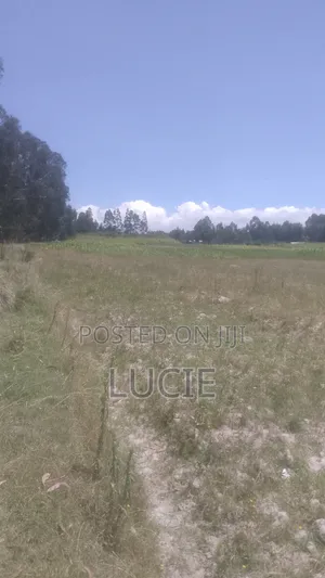 One Acre of Land