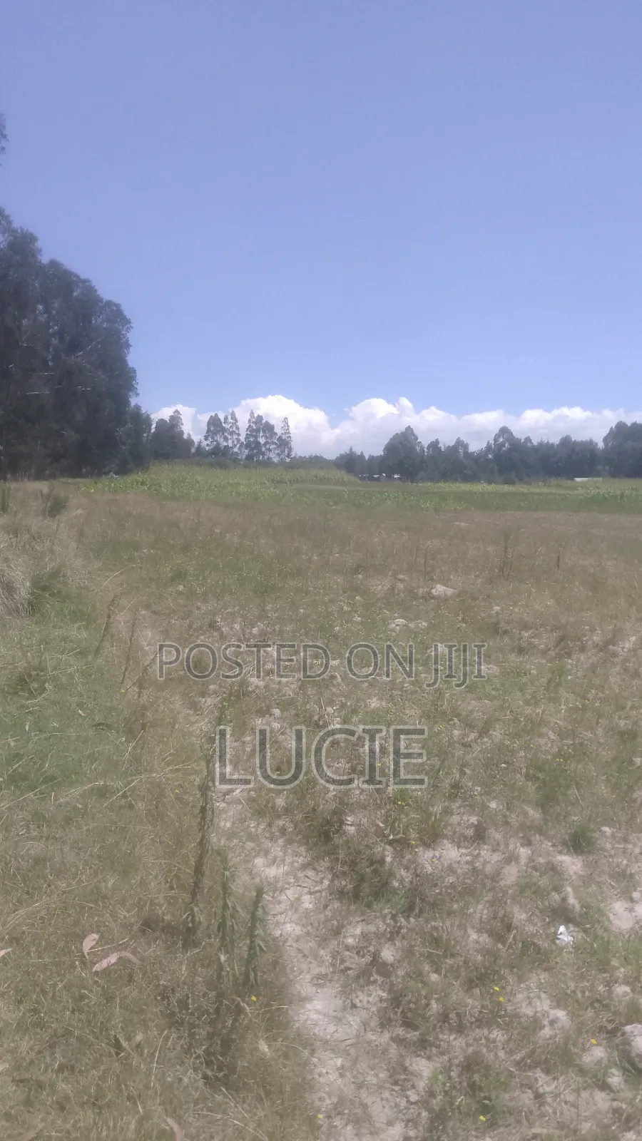 One Acre of Land