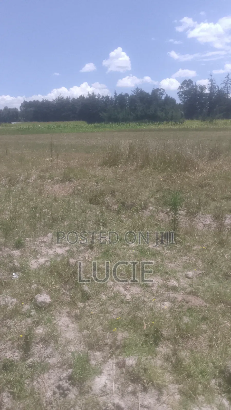 One Acre of Land