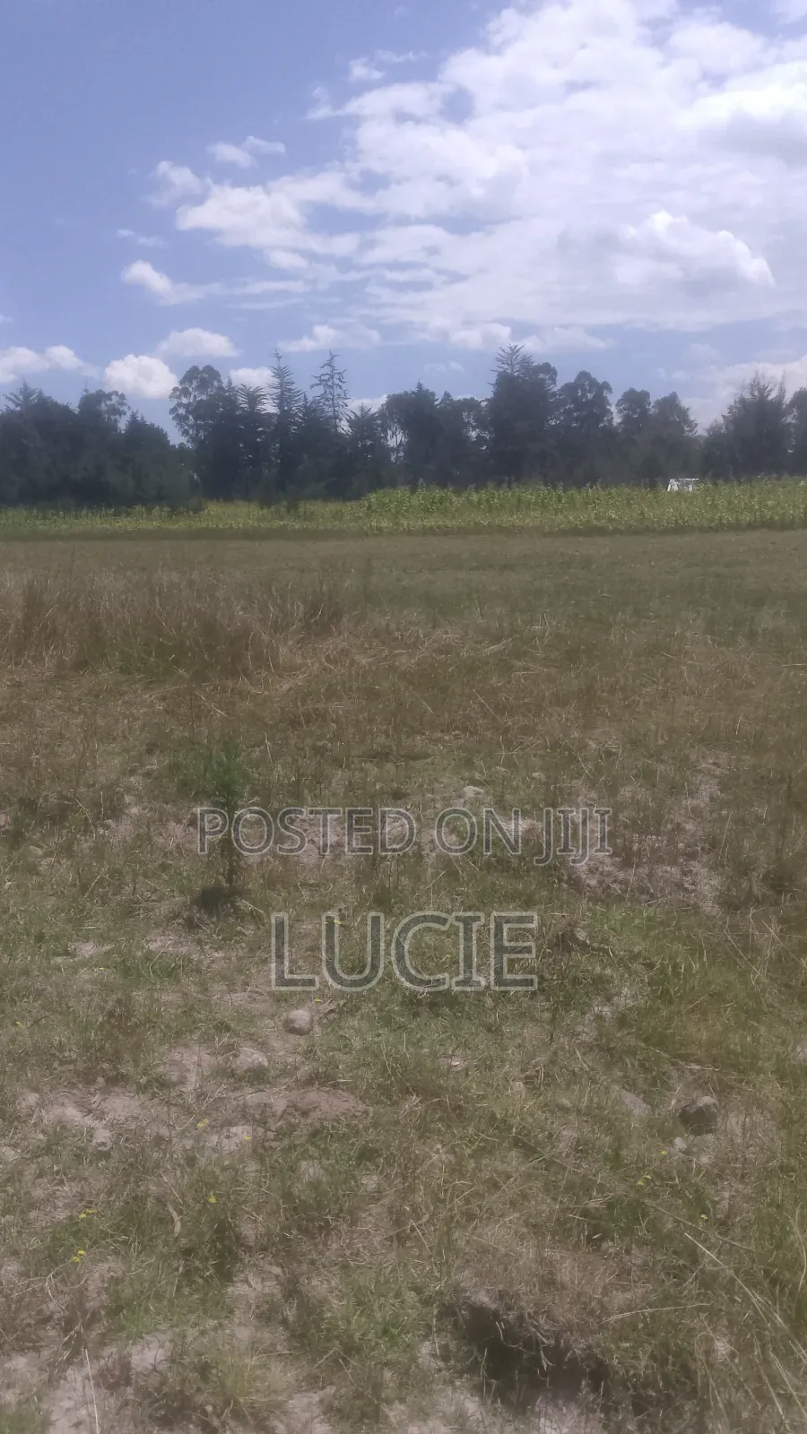One Acre of Land