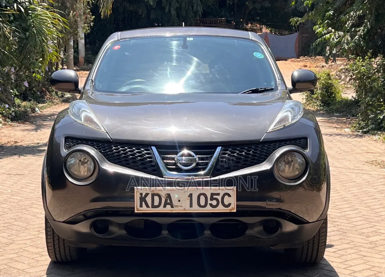 Nissan Juke 2013 Brown