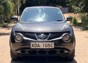 Nissan Juke 2013 Brown