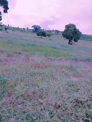 30 Acre Land for Sale