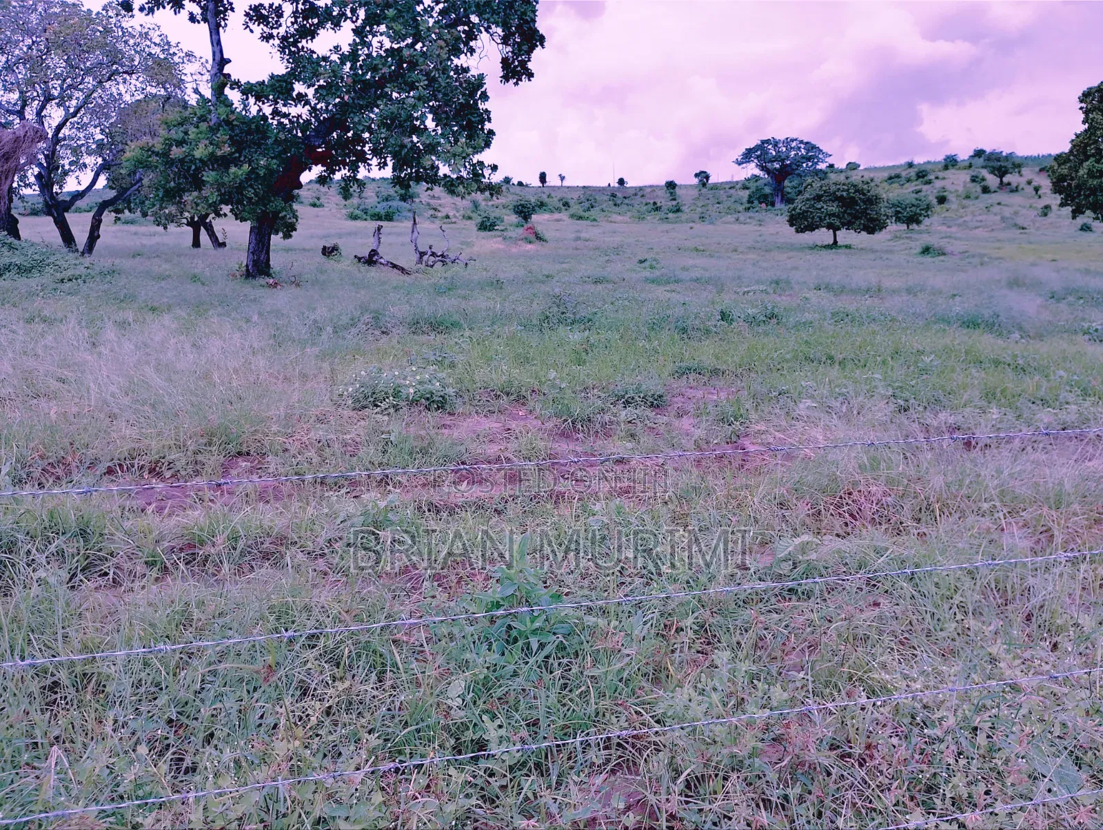 30 Acre Land for Sale