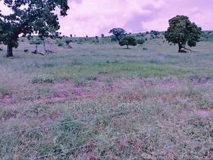 30 Acre Land for Sale