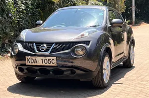 Nissan Juke 2013 Gray