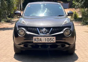 Nissan Juke 2013 Gray