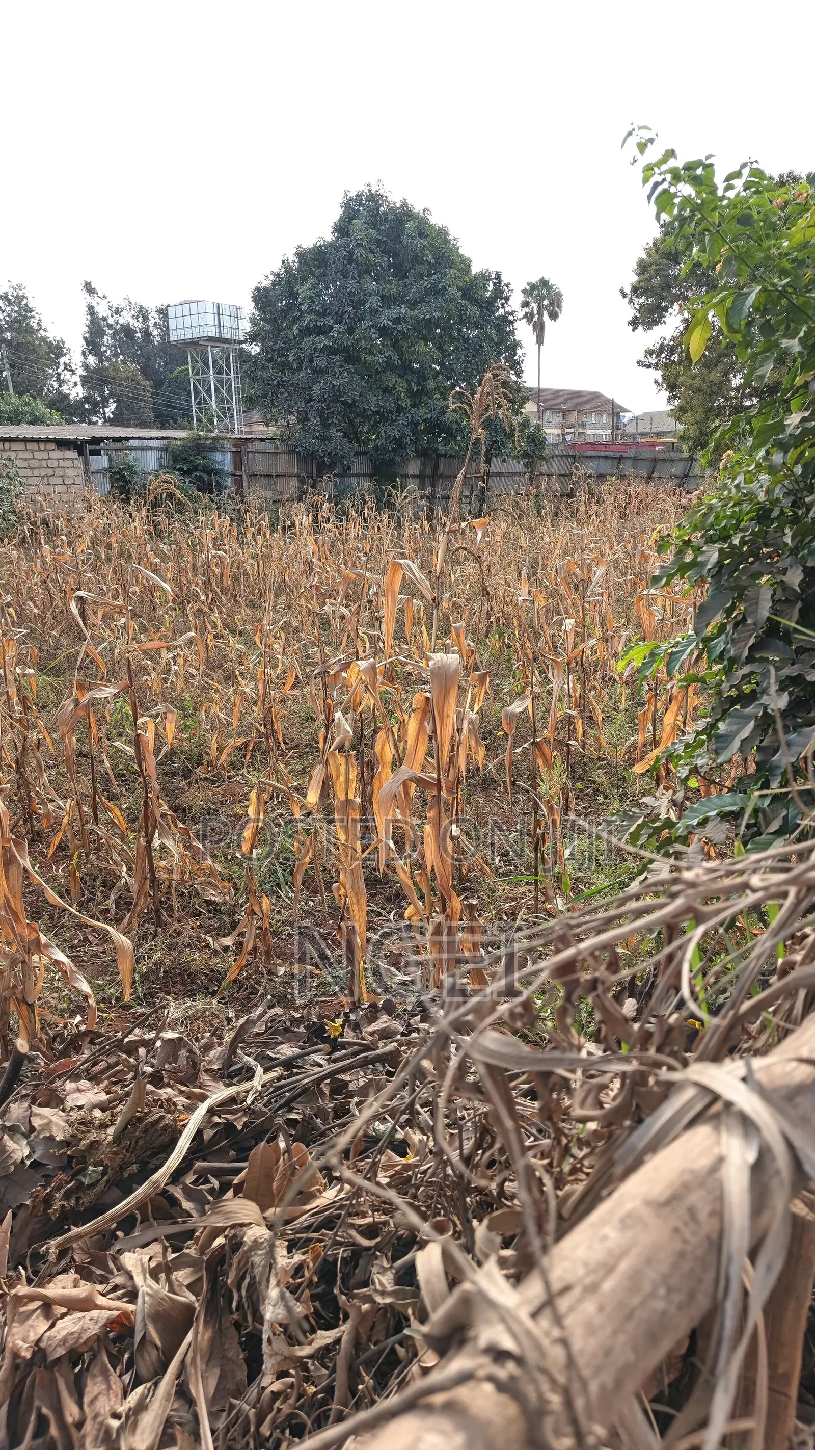 Commercial Land for Sale Thome