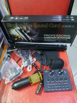 Professional BM800 Microphone With V8 Live Sound Card