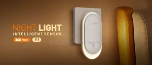Intelligent Sensor Night Light Portable Automatic LED Night Wall Light